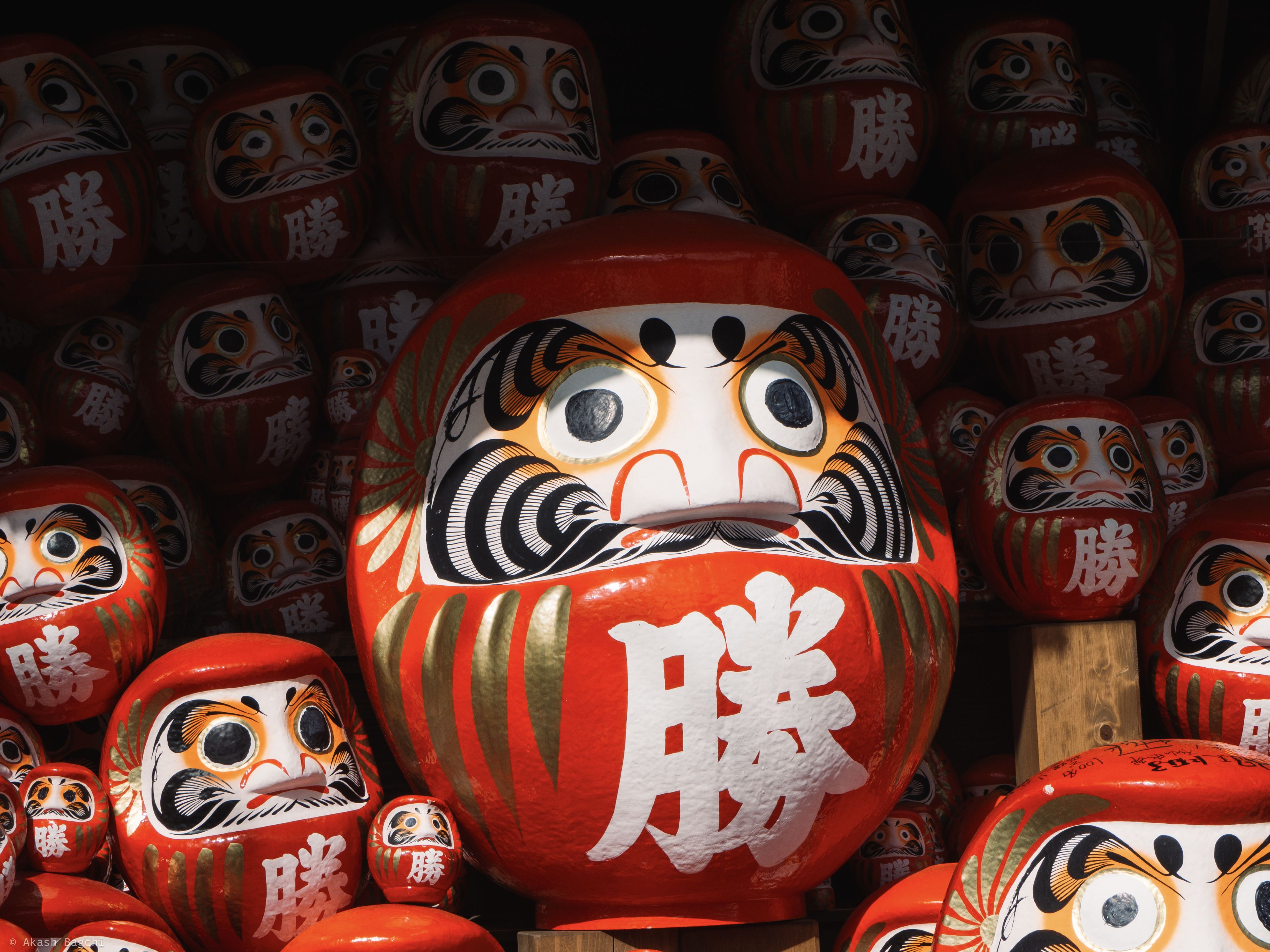 Daruma