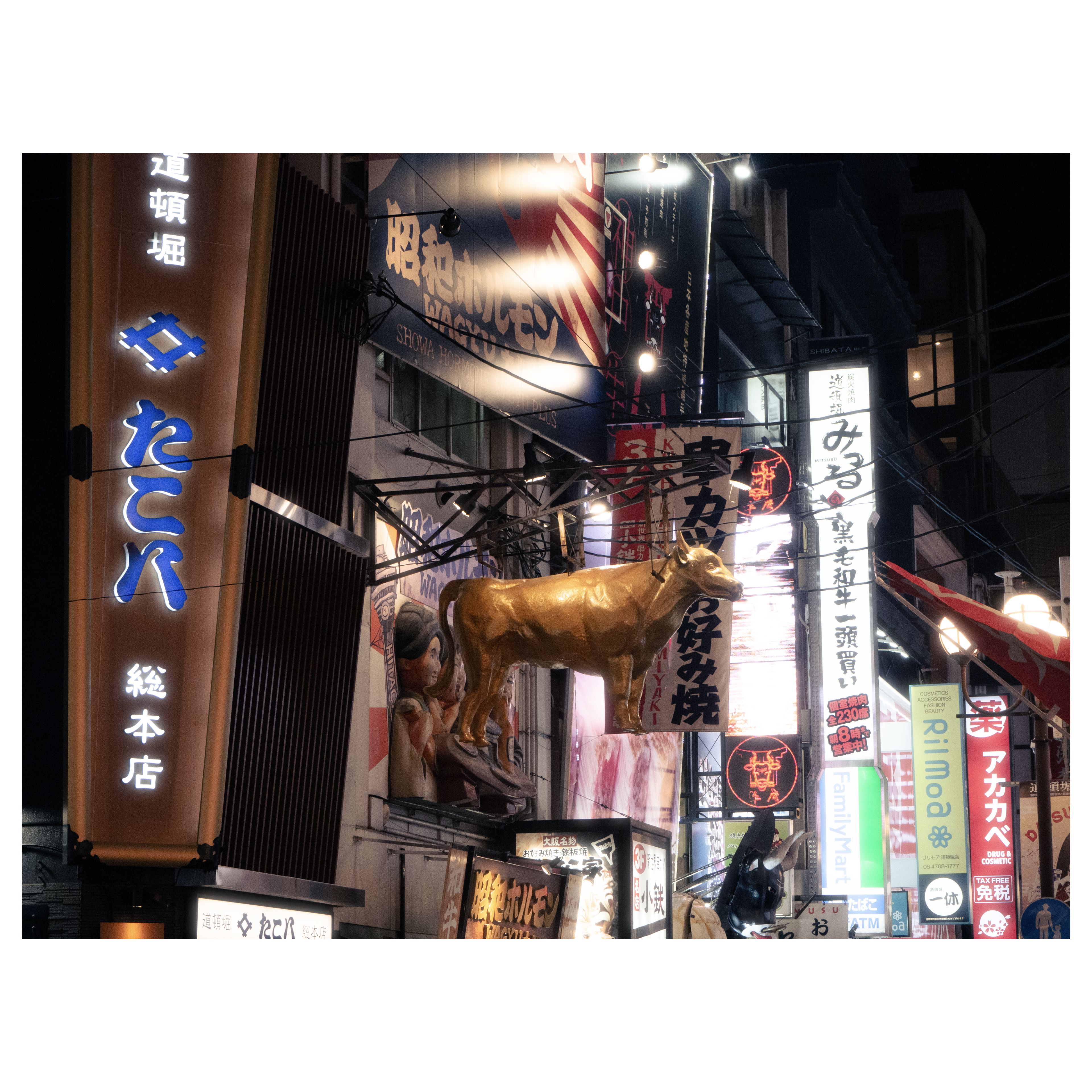 Dotonbori