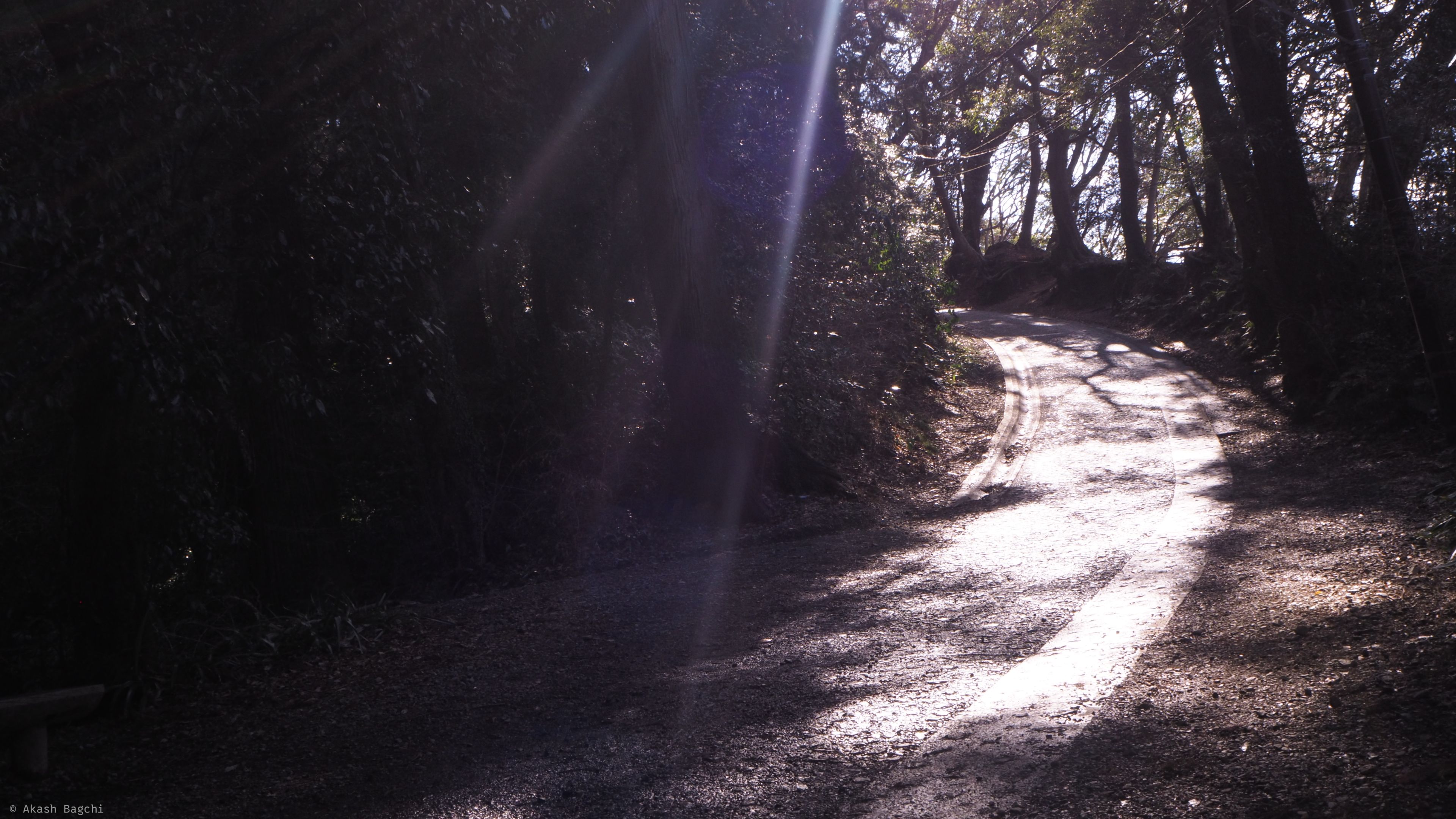 A path well-lit