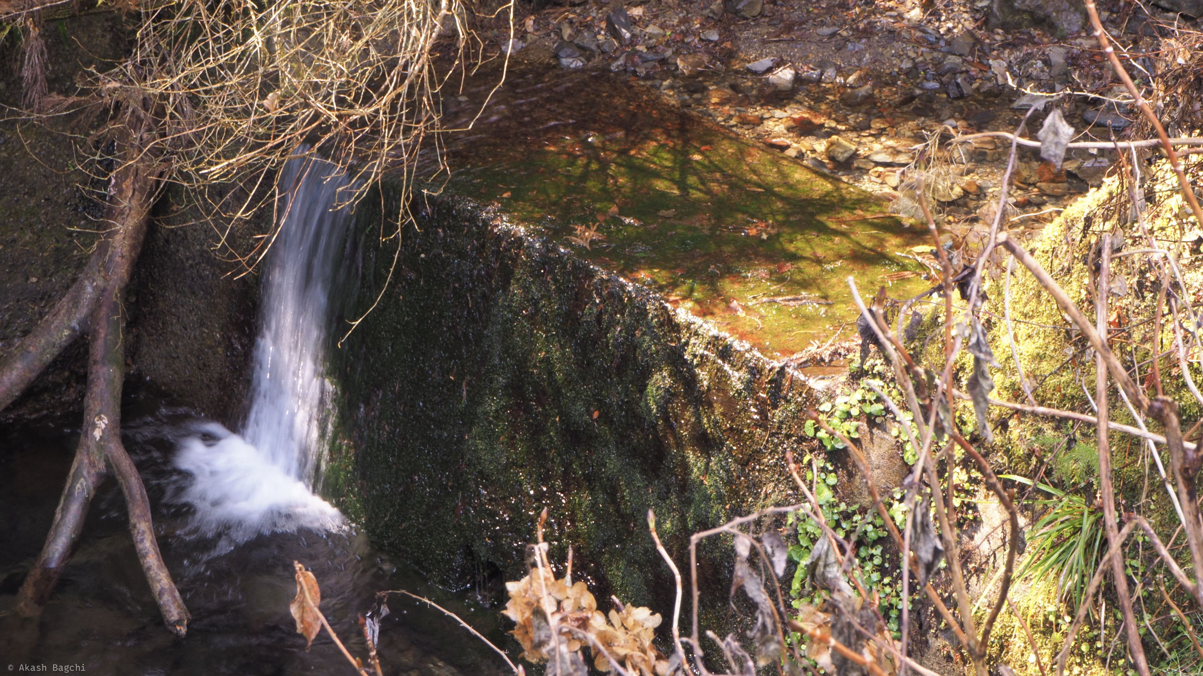 Falls