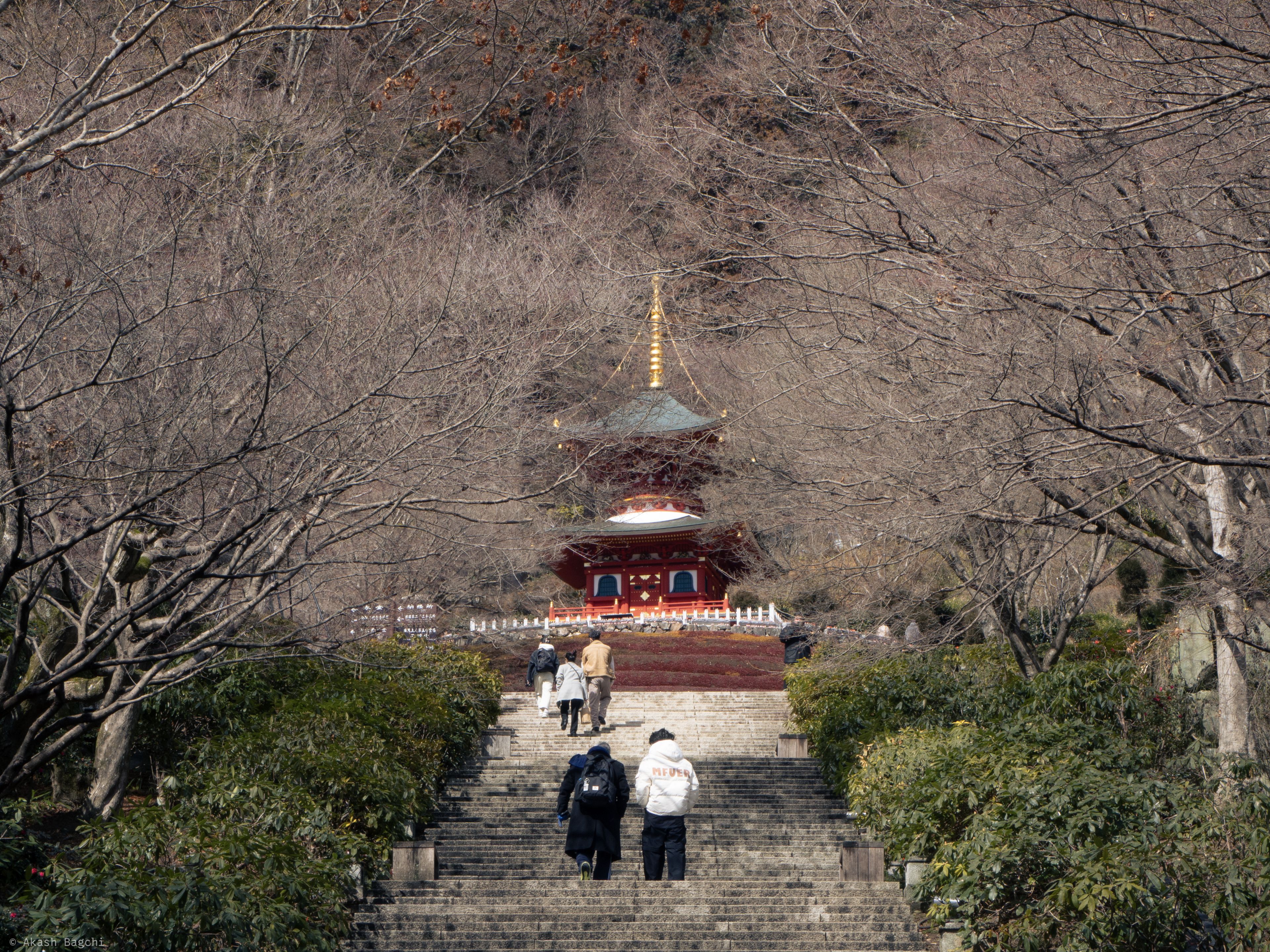 Pilgrimage