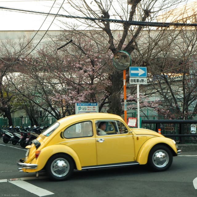 This Way
