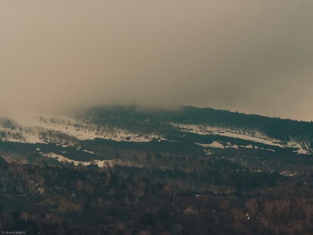 Mist Rolls In
