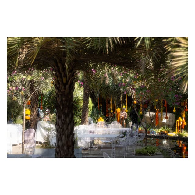 Under The Neem Tree