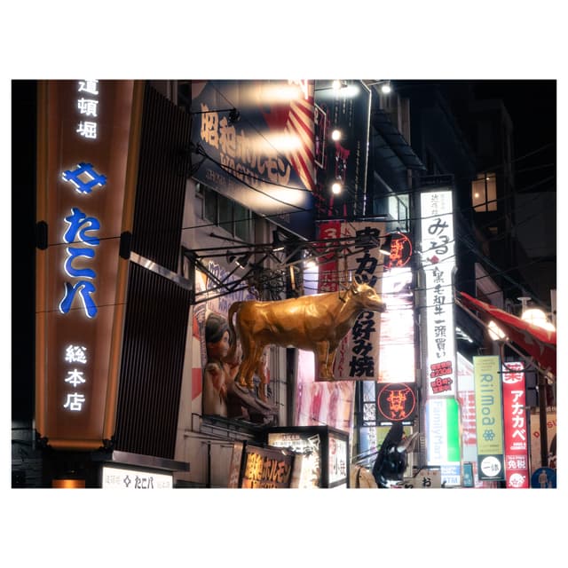 Dotonbori