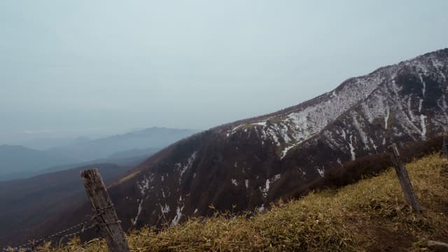 Vista