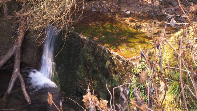 Falls
