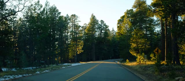 Forest Road