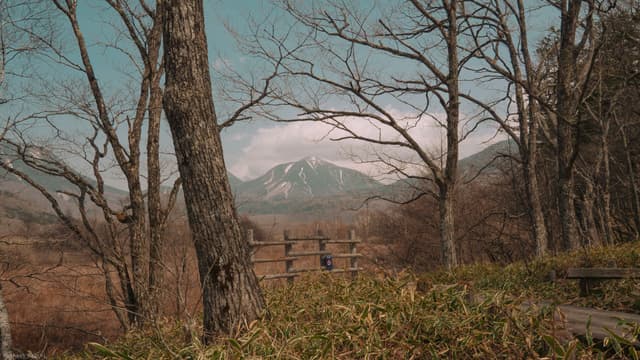 Mountain & Marsh