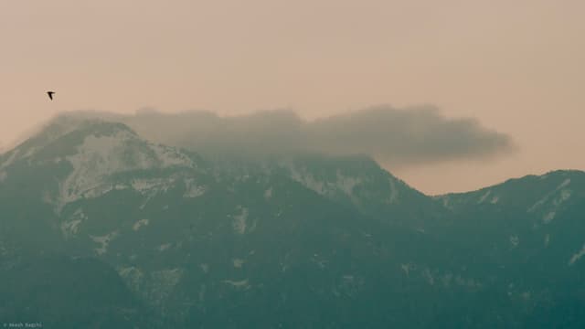 Smoke Trail