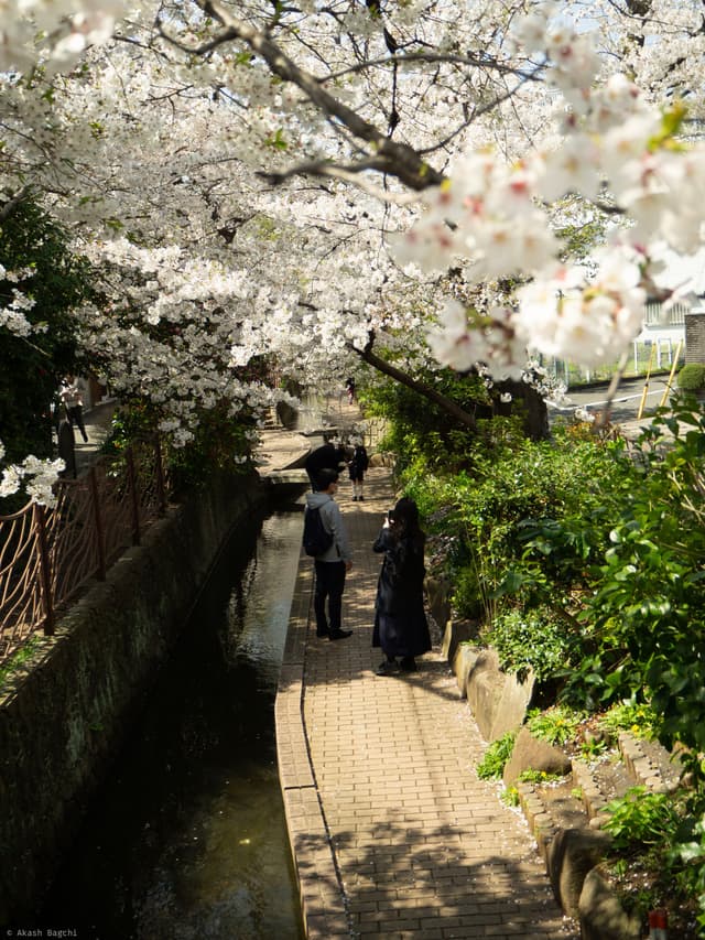 April Morning