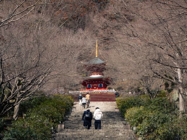 Pilgrimage