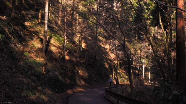 Takao 2