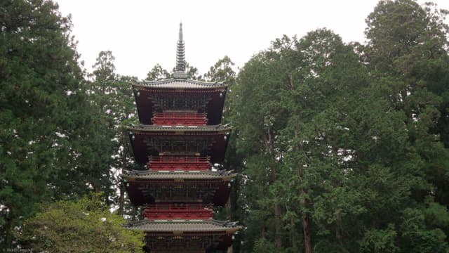 Tower